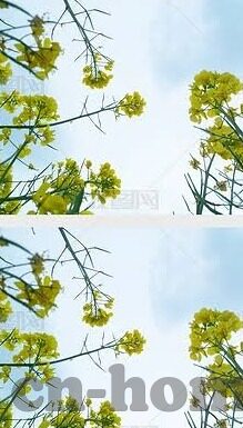 50可提现的炸金花-50可提现的炸金花，娱乐与理财的微妙平衡