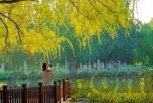 球琛比分足球即时比分下-球琛比分，足球即时比分的信息枢纽
